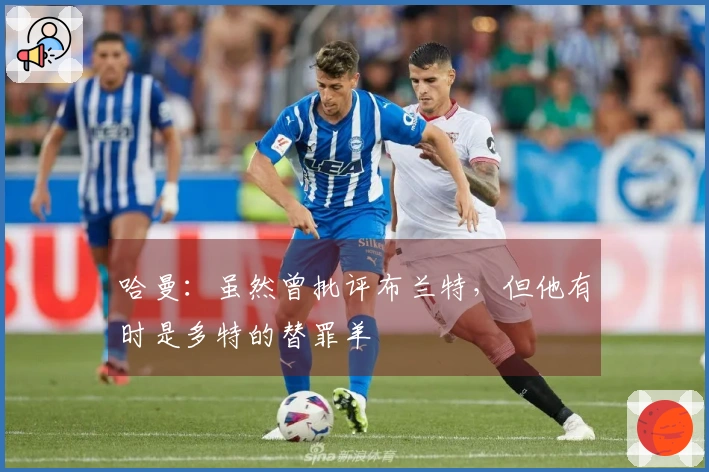 哈曼：虽然曾批评布兰特，但他有时是多特的替罪羊