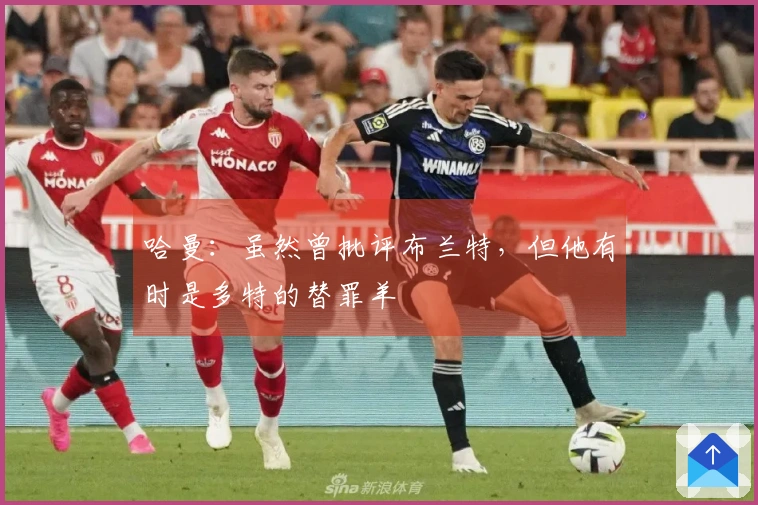 哈曼：虽然曾批评布兰特，但他有时是多特的替罪羊